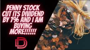 Penny Stock and Cheap Dividend Stock I am Buying now for High-Yield Dividend Income & Passive Income