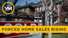 Forced sales increasing in Ontario’s housing market | Your Morning