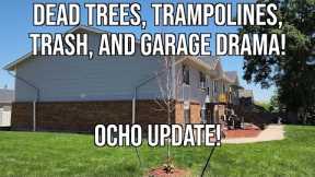 Ocho Update: Dead Trees, Trampoline Drama, More trash, Garage Suites and More!
