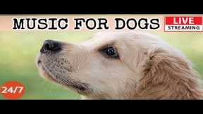[LIVE] Dog Music🎵 Deep Separation Anxiety Music for Dog Relaxation! 🐶💖Dog Calming Sleep Music