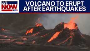 Iceland volcano update: Hundreds of earthquakes, volcanic eruption expected | LiveNOW from FOX
