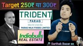TRIDENT share latest news l Parag Milk Foods share latest news l Indiabulls Real Estate share news