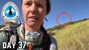 Day 37 | The Bird Attack | Pacific Crest Trail Thru Hike