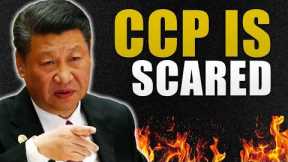 China's Geographic Crisis:  Collapse is inevitable, Minorities Rising up |  COMPILATION