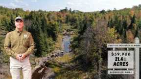 21.4± Acres for $59,900 | Maine Real Estate