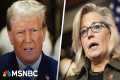 Liz Cheney hits back after Trump,