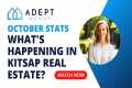 October 2024 Stats - What's Happening 