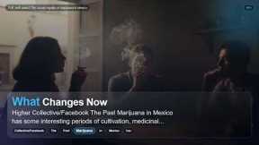 Puff, puff, pass? The cloudy legality of marijuana in Mexico