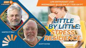 Little by Little: Stress Resilience