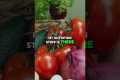 Women's Health Secrets: Nutrition