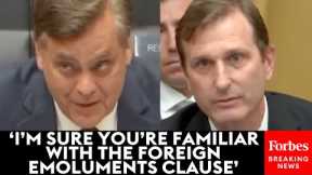 Dan Goldman Grills Jonathan Turley About Legality Of Trump's Dealings With Foreign Governments