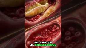 Berberine vs. Metformin: Surprising Results #shorts