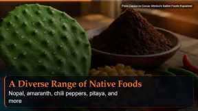 From Cactus to Cocoa: Mexico's Native Foods Explained